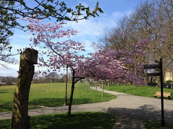 Greenhead Park